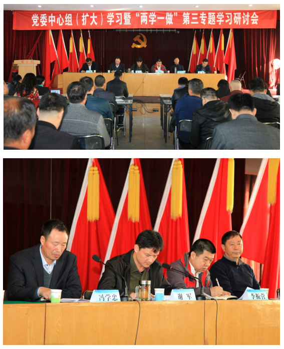 集团九体育注册_九体育(中国)党委组织召开中心组(扩大)学习暨“两学一做”第三专题学习研讨会