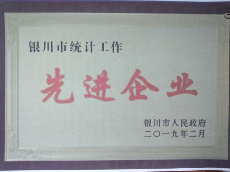 银川市统计工作先进企业.jpg