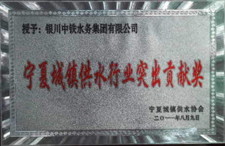宁夏城镇供水行业突出贡献奖.png