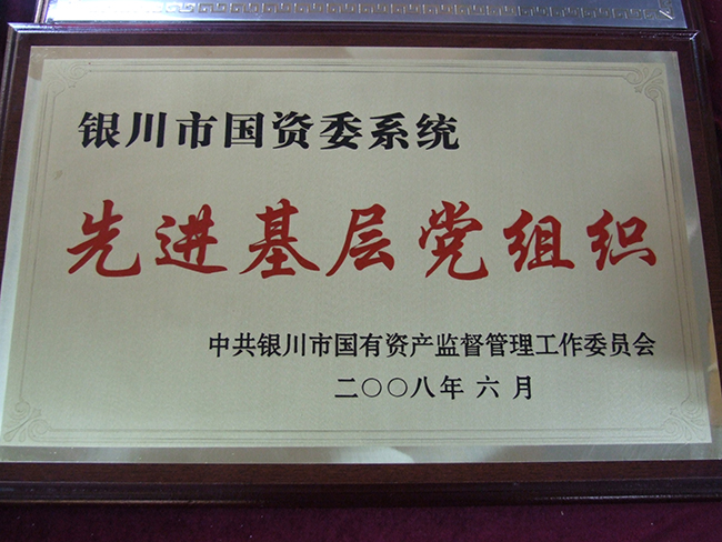 2008年银川市国资委系统先进基层党组织