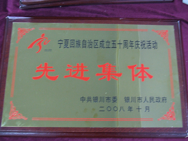 2008年宁夏回族自治区成立五十周年庆祝活动先进集体